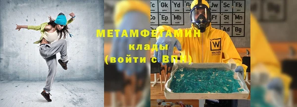 прущие грибы Абаза
