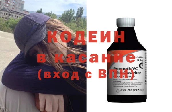 прущие грибы Абаза