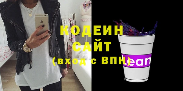 прущие грибы Абаза