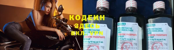 прущие грибы Абаза