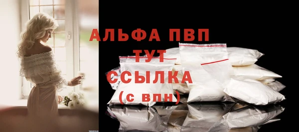 прущие грибы Абаза