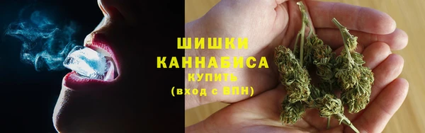 прущие грибы Абаза