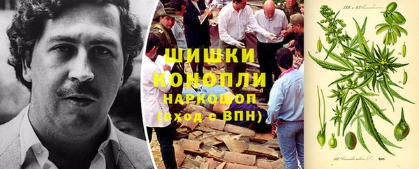 прущие грибы Абаза