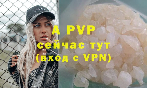 apvp Ростов