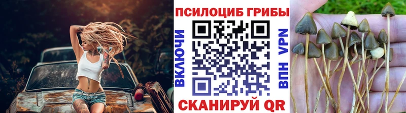 Псилоцибиновые грибы Cubensis  наркота  Руза 